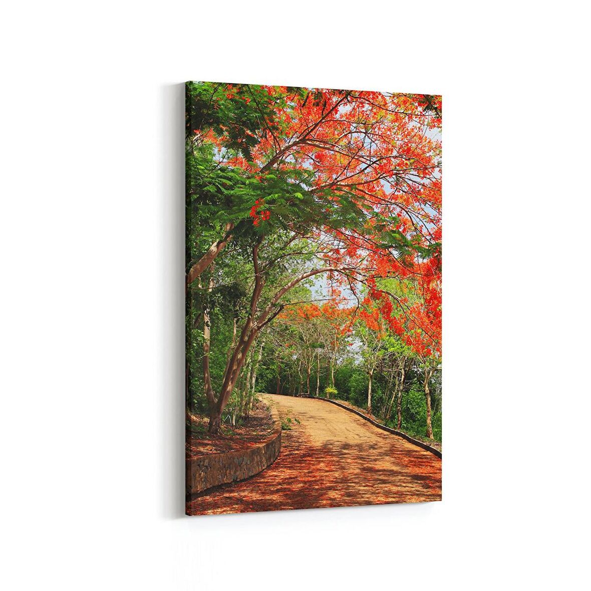 Olla 13489D Doğa / Manzara Görseli Dikey Kanvas Tablo (Ölçü: 80X120)