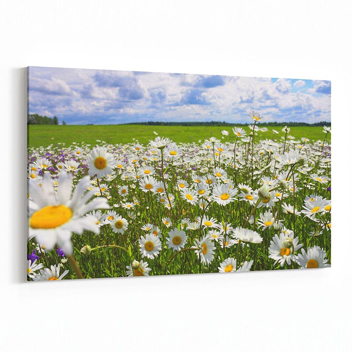 Olla 13792Y Doğa / Manzara Görseli Yatay Kanvas Tablo (Ölçü: 150X100)