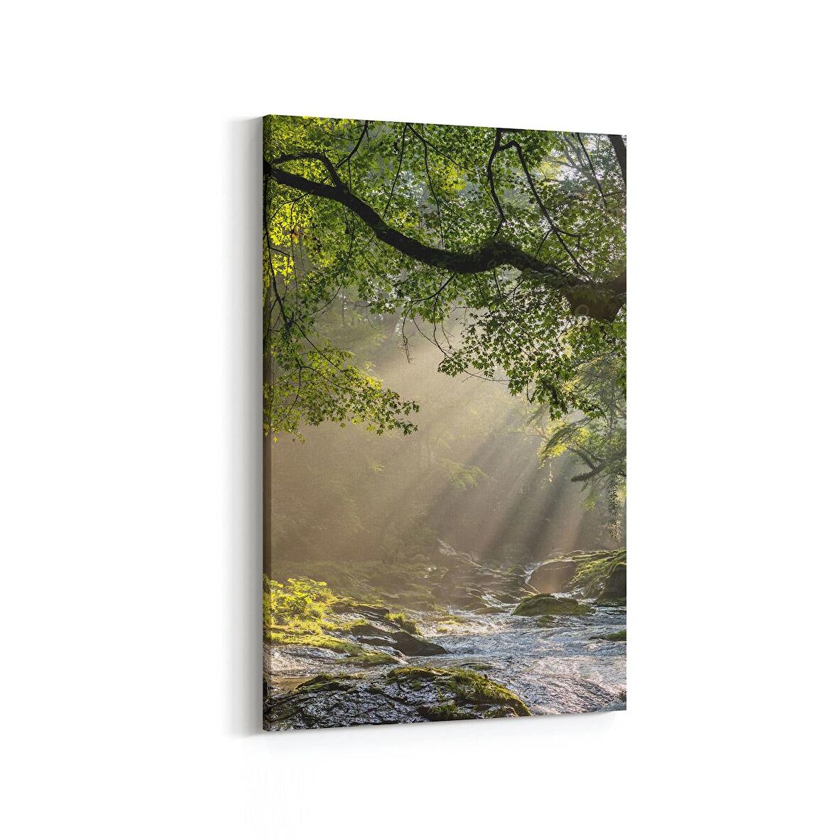 Olla 14139D Doğa / Manzara Görseli Dikey Kanvas Tablo (Ölçü: 70X105)