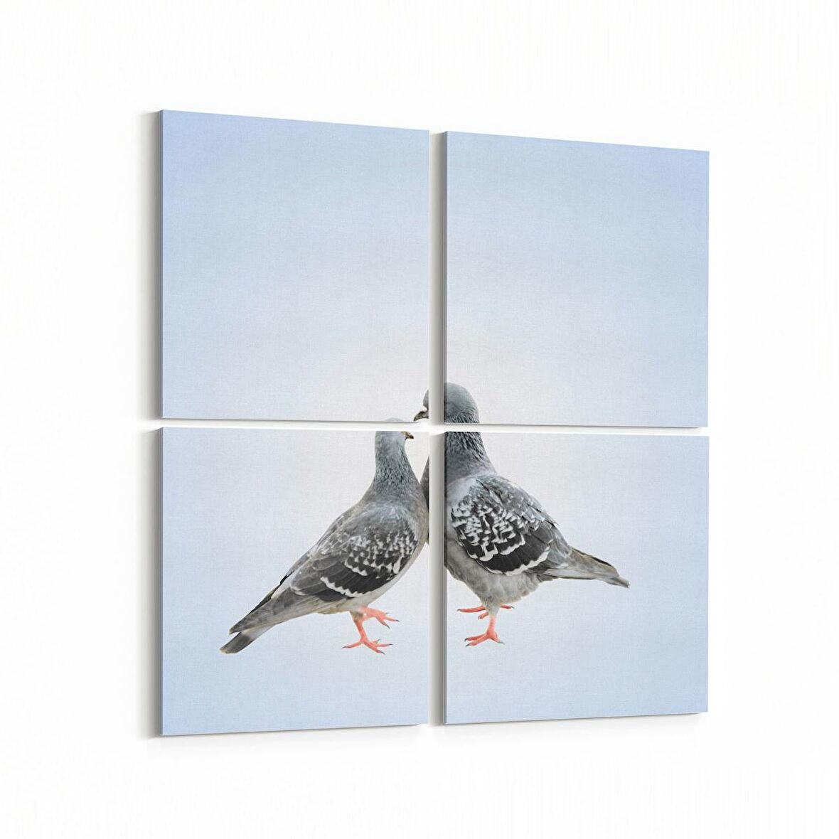 Olla 12521K4 Hayvanlar Alemi Görseli Kare 4'lü Kanvas Tablo (Ölçü: 105X105)