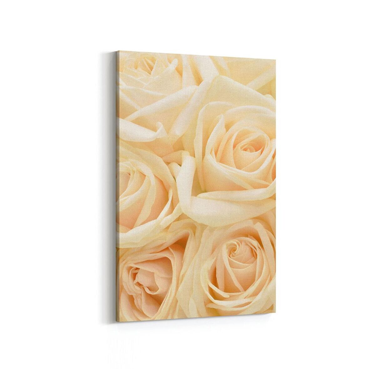 Olla 11642D Çiçek Görseli Dikey Kanvas Tablo (Ölçü: 20X30)