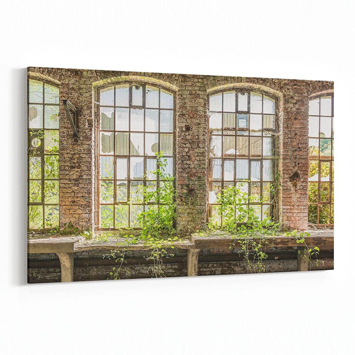 Olla 14246Y Doğa / Manzara Görseli Yatay Kanvas Tablo (Ölçü: 70X50)