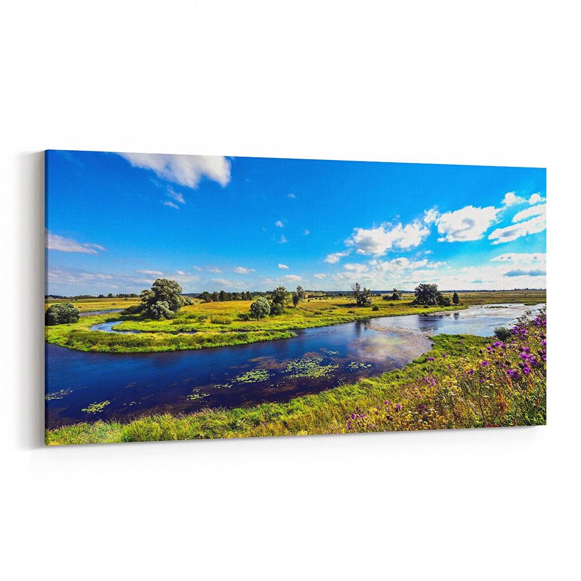 Olla 13187YD Doğa / Manzara Görseli Yatay Dar Kanvas Tablo (Ölçü: 60X30)