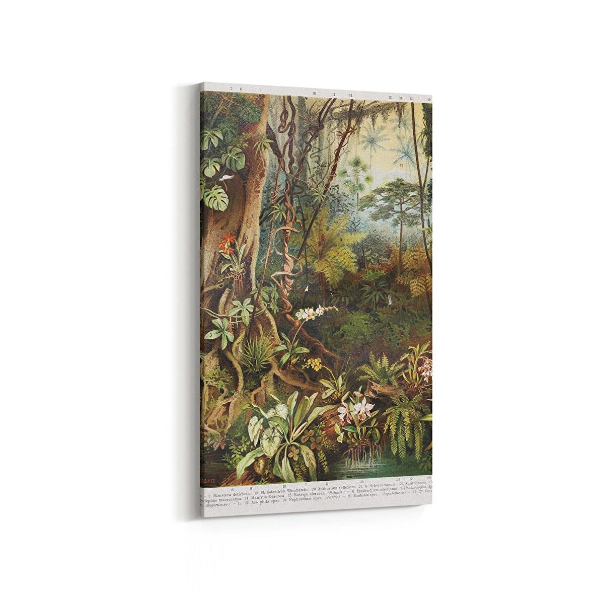 Olla 13159DD Doğa / Manzara Görseli Dikey Dar Kanvas Tablo (Ölçü: 60X120)