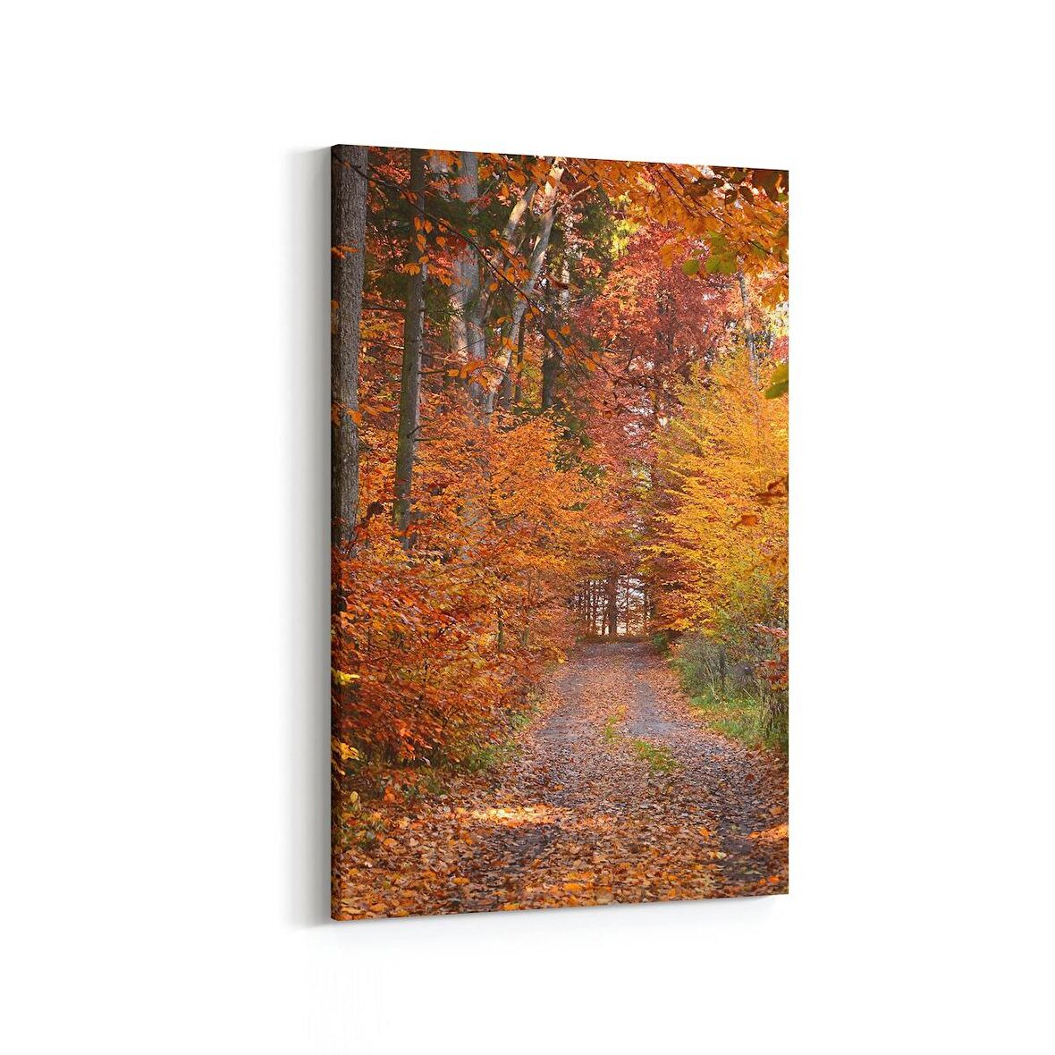 Olla 14146D Doğa / Manzara Görseli Dikey Kanvas Tablo (Ölçü: 100X150)