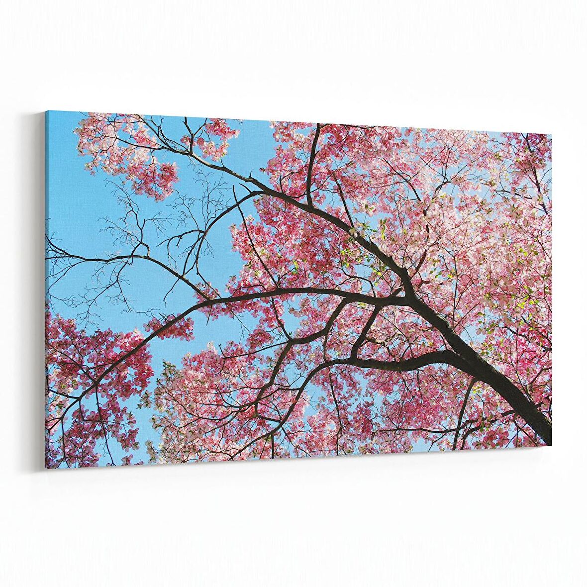 Olla 10522Y Ağaç Görseli Yatay Kanvas Tablo (Ölçü: 45X30)