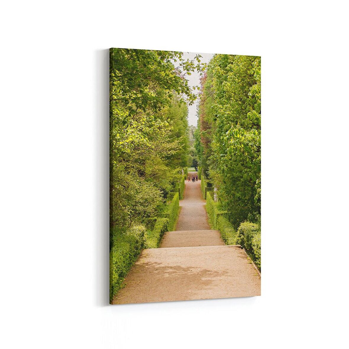 Olla 13757D Doğa / Manzara Görseli Dikey Kanvas Tablo (Ölçü: 60X90)