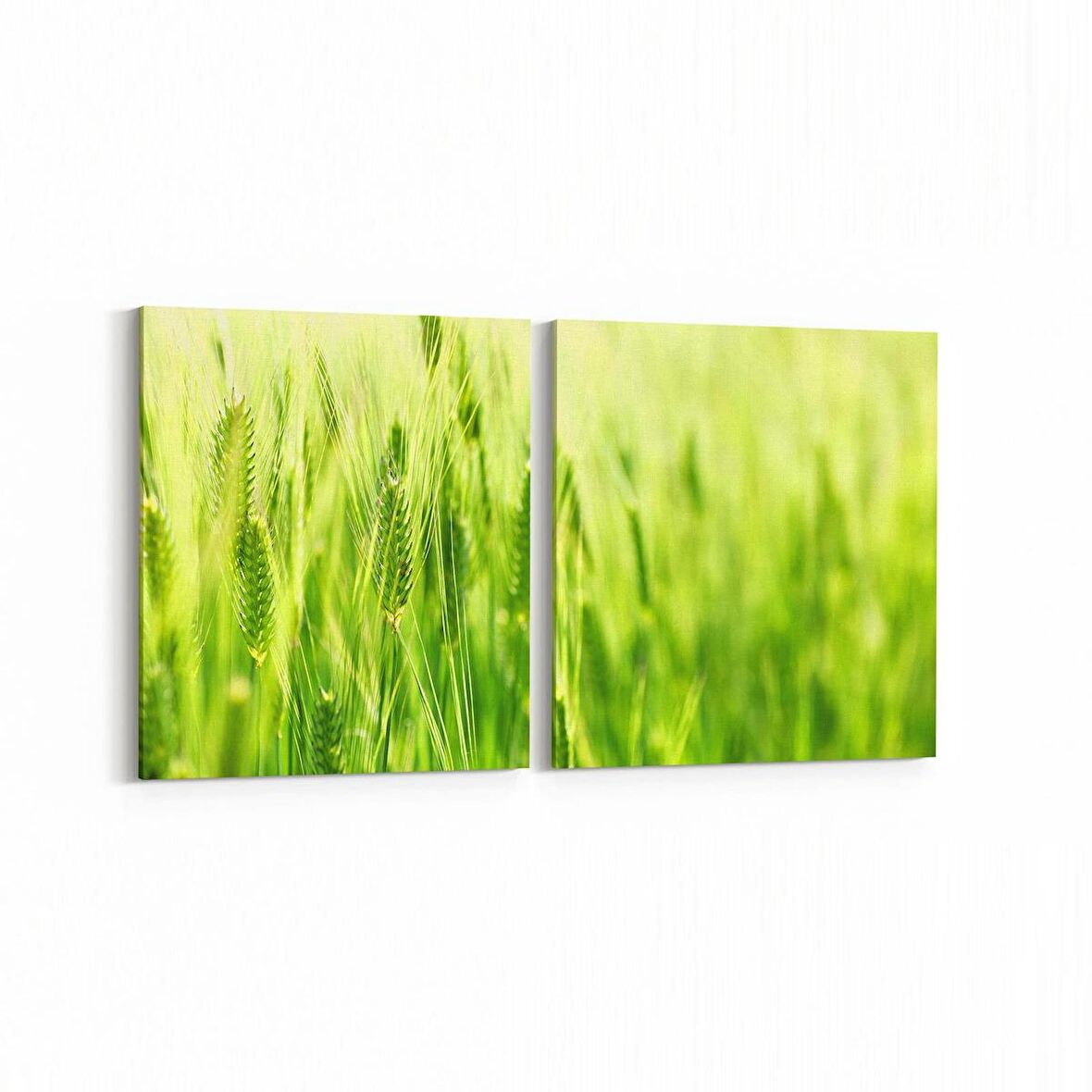 Olla 14507K2Y Doğa / Manzara Görseli Kare 2'li Yatay Kanvas Tablo (Ölçü: 125X60)