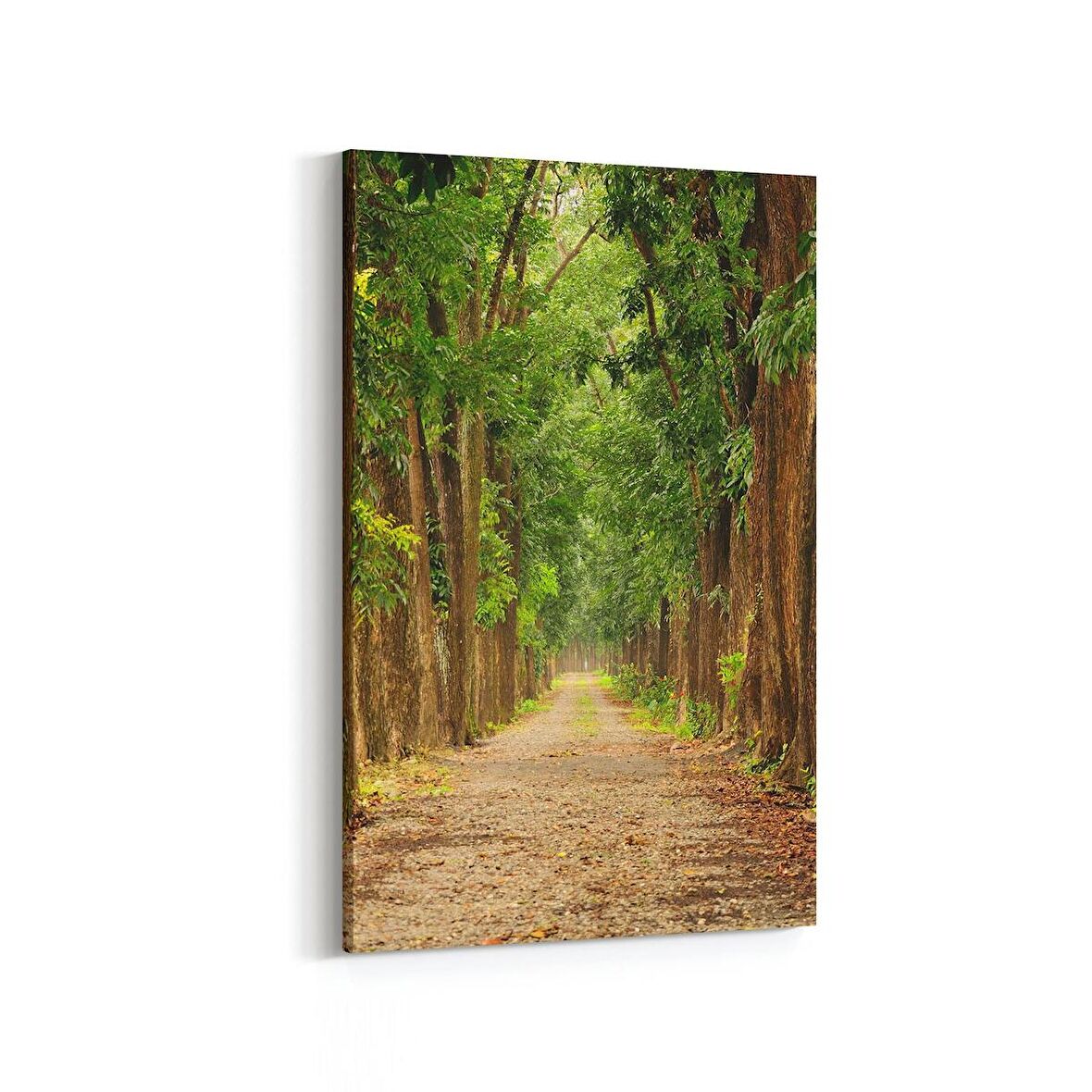 Olla 13350D Doğa / Manzara Görseli Dikey Kanvas Tablo (Ölçü: 30X45)