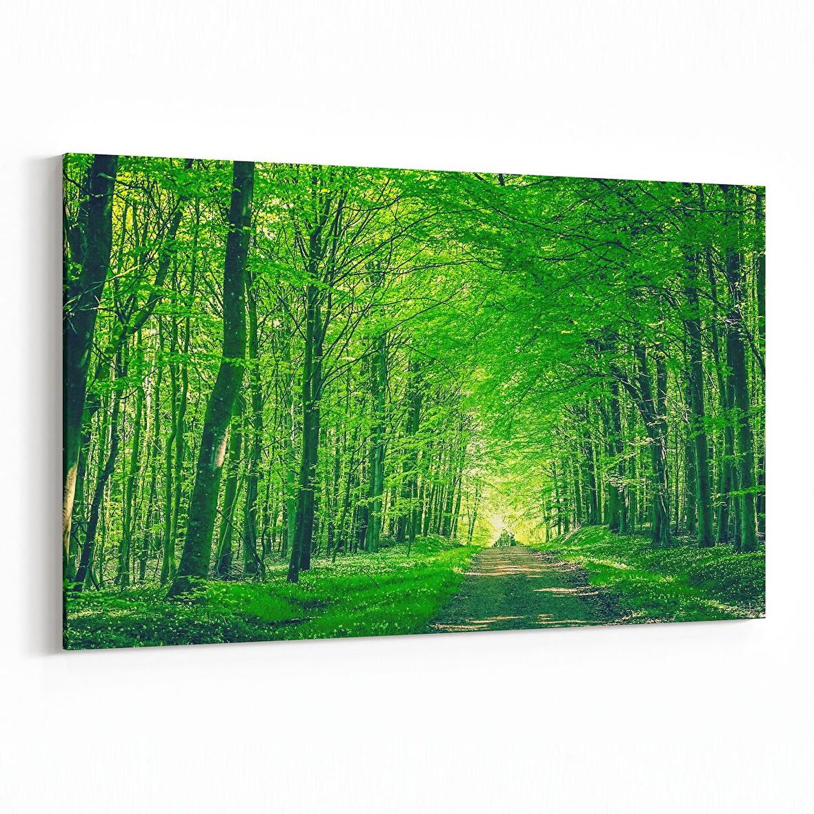 Olla 14091Y Doğa / Manzara Görseli Yatay Kanvas Tablo (Ölçü: 150X100)