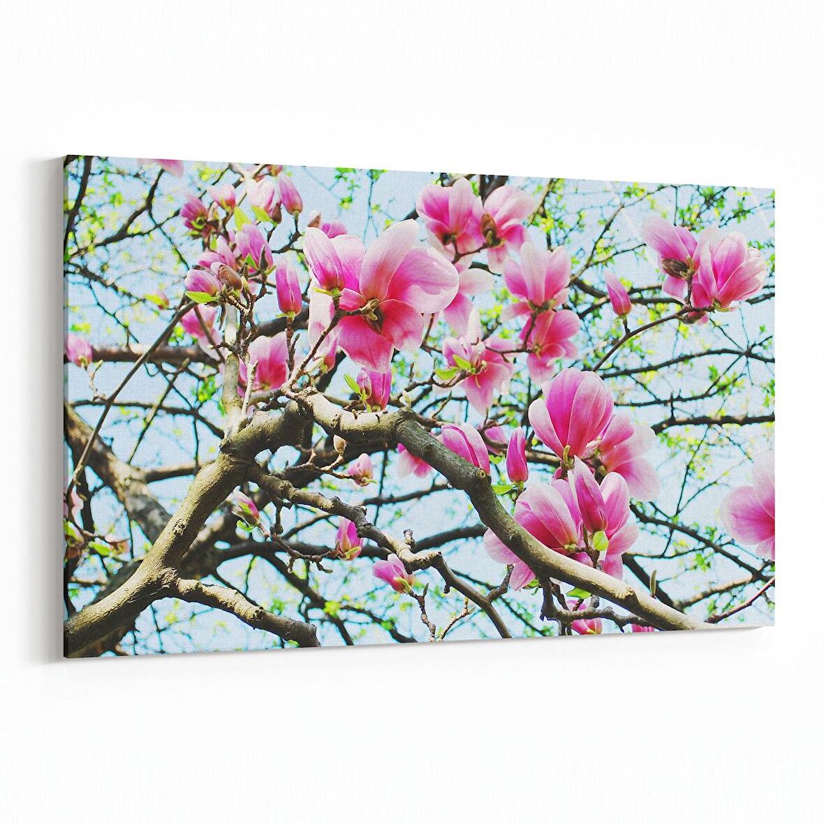 Olla 11064Y Ağaç Görseli Yatay Kanvas Tablo (Ölçü: 45X30)