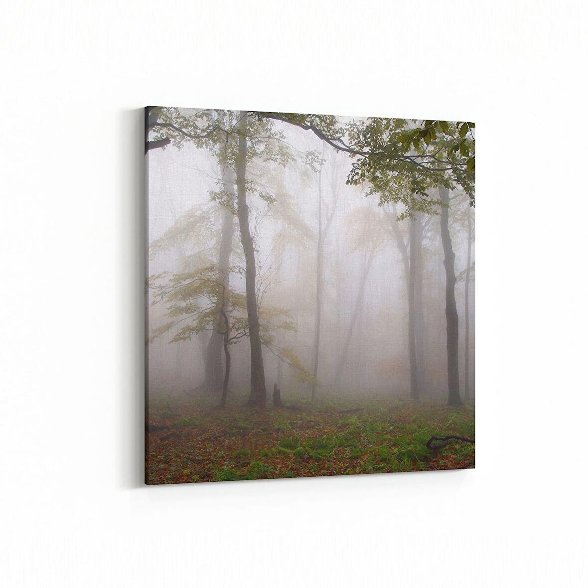 Olla 14135K Doğa / Manzara Görseli Kare Kanvas Tablo (Ölçü: 25X25)