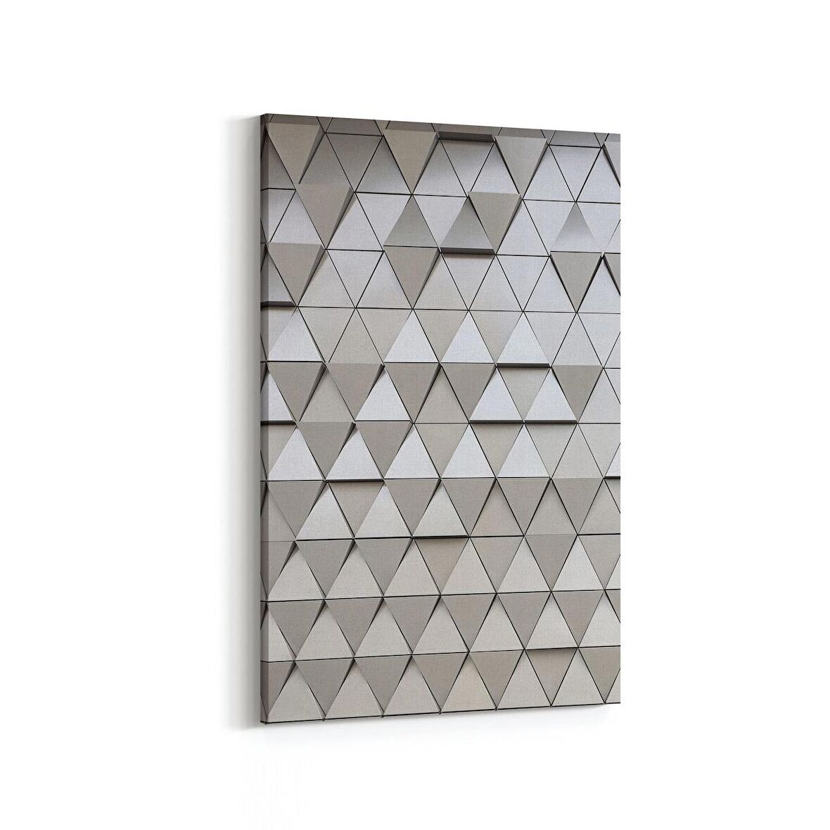 Olla 10027D Abstract 3 Boyut Görsel Dikey Kanvas Tablo (Ölçü: 80X120)