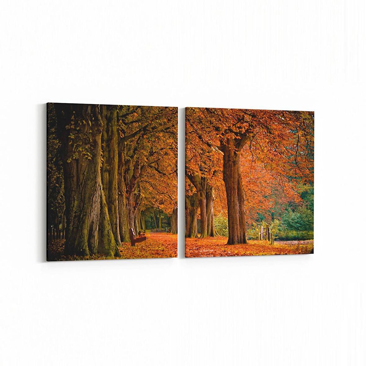 Olla 13607K2Y Doğa / Manzara Görseli Kare 2'li Yatay Kanvas Tablo (Ölçü: 145X70)