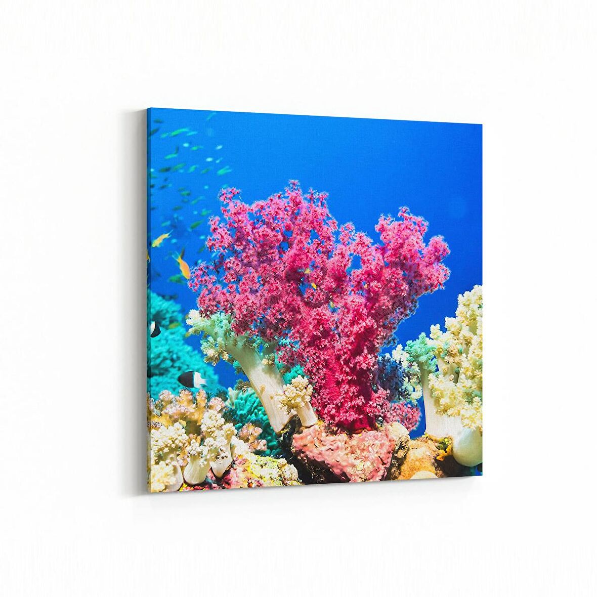 Olla 12984K Deniz / Okyanus Görseli Kare Kanvas Tablo (Ölçü: 100X100)