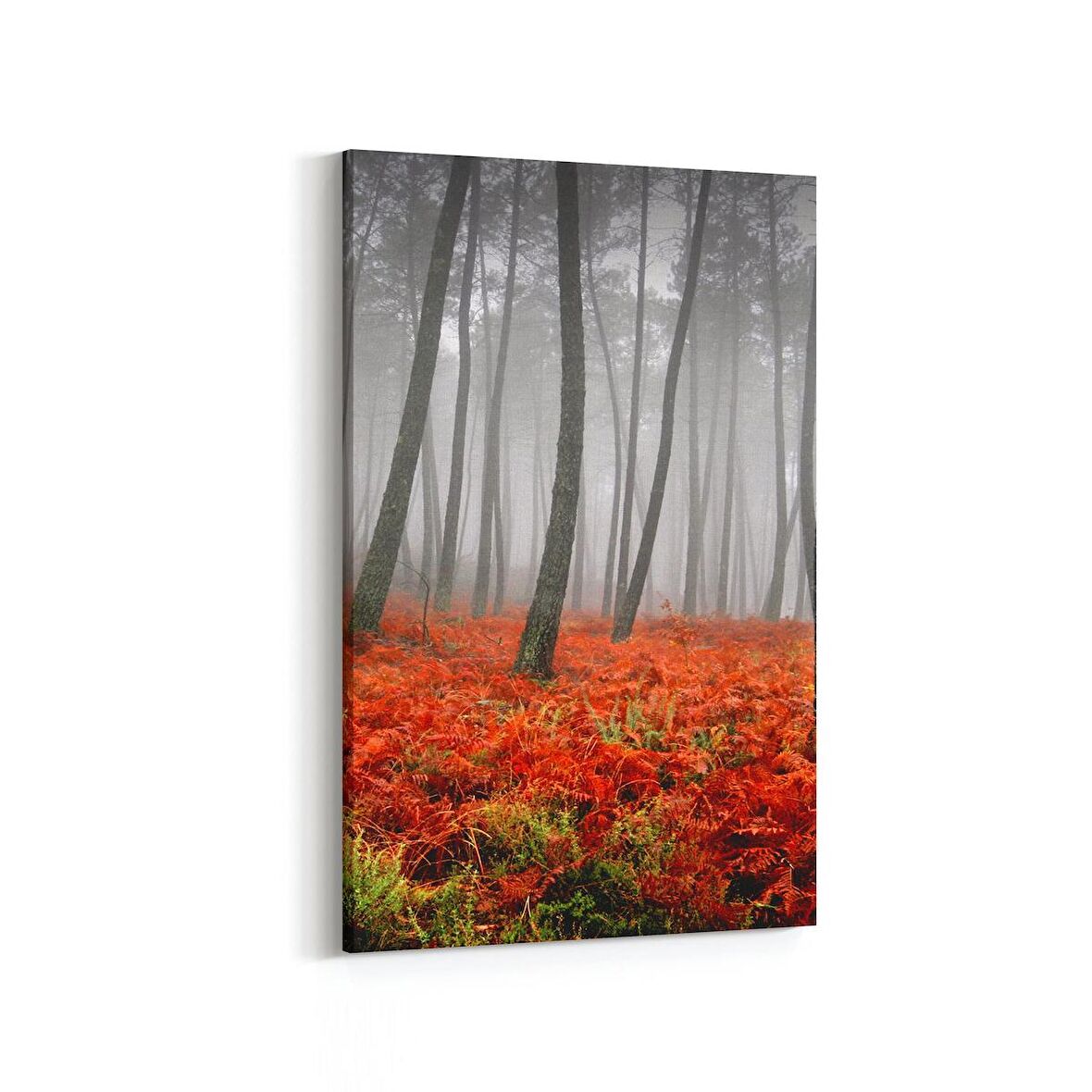 Olla 14280D Doğa / Manzara Görseli Dikey Kanvas Tablo (Ölçü: 60X90)