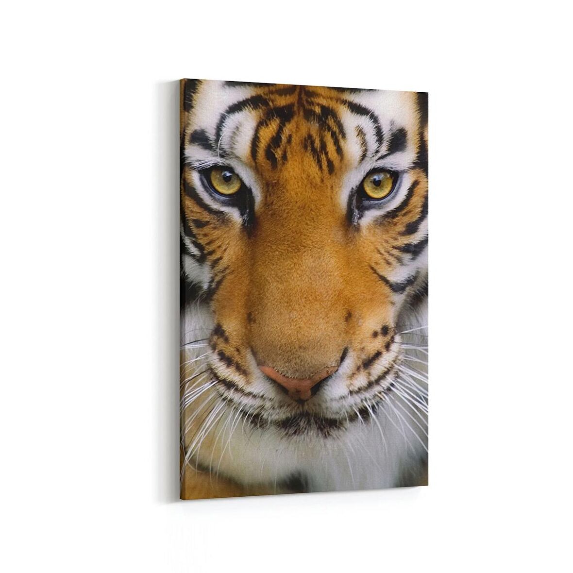 Olla 12517D Hayvanlar Alemi Görseli Dikey Kanvas Tablo (Ölçü: 100X150)