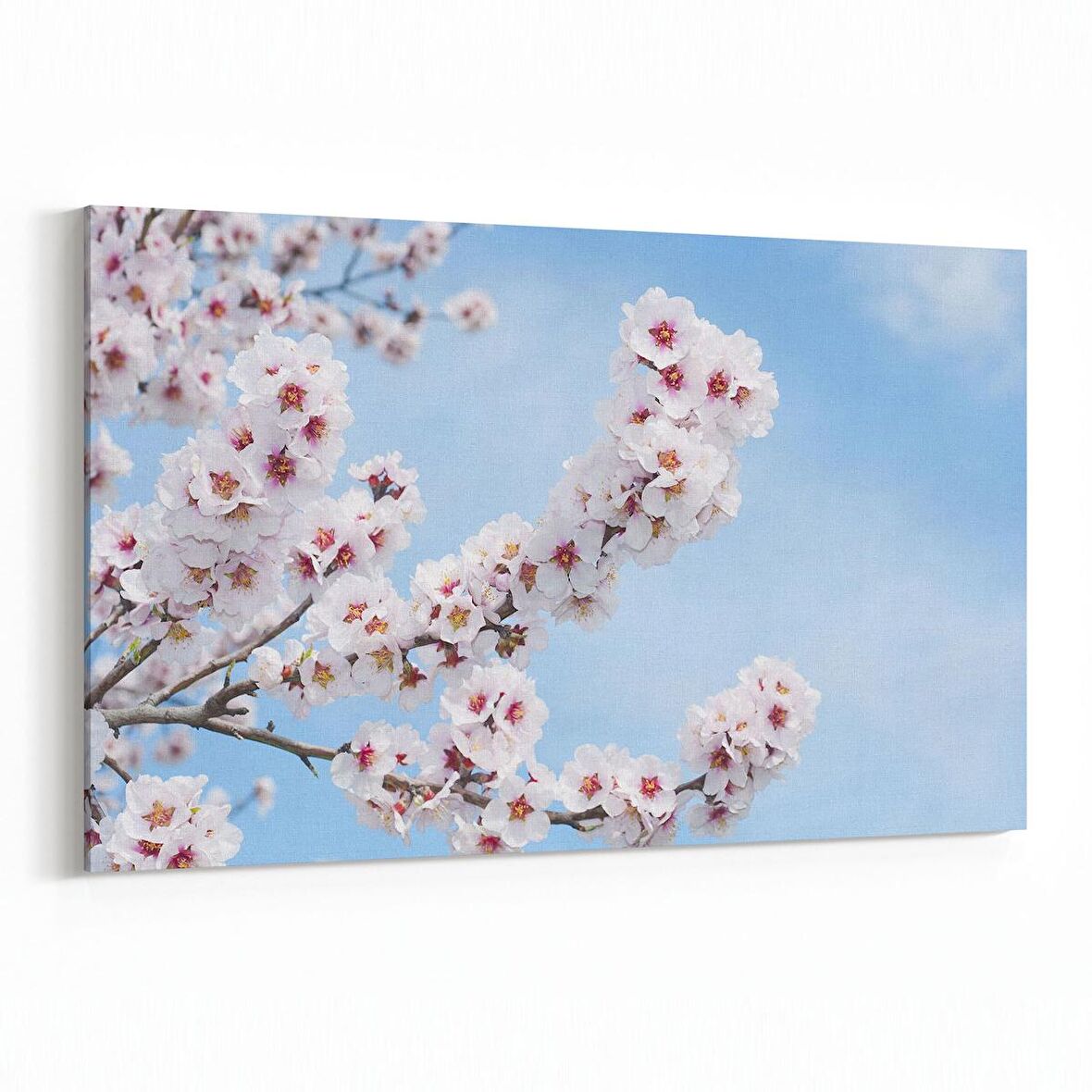 Olla 10654Y Ağaç Görseli Yatay Kanvas Tablo (Ölçü: 45X30)