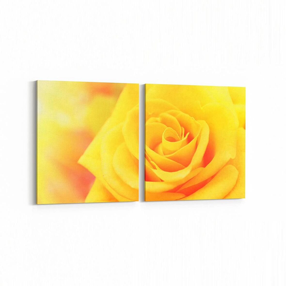 Olla 11592K2Y Çiçek Görseli Kare 2'li Yatay Kanvas Tablo (Ölçü: 145X70)