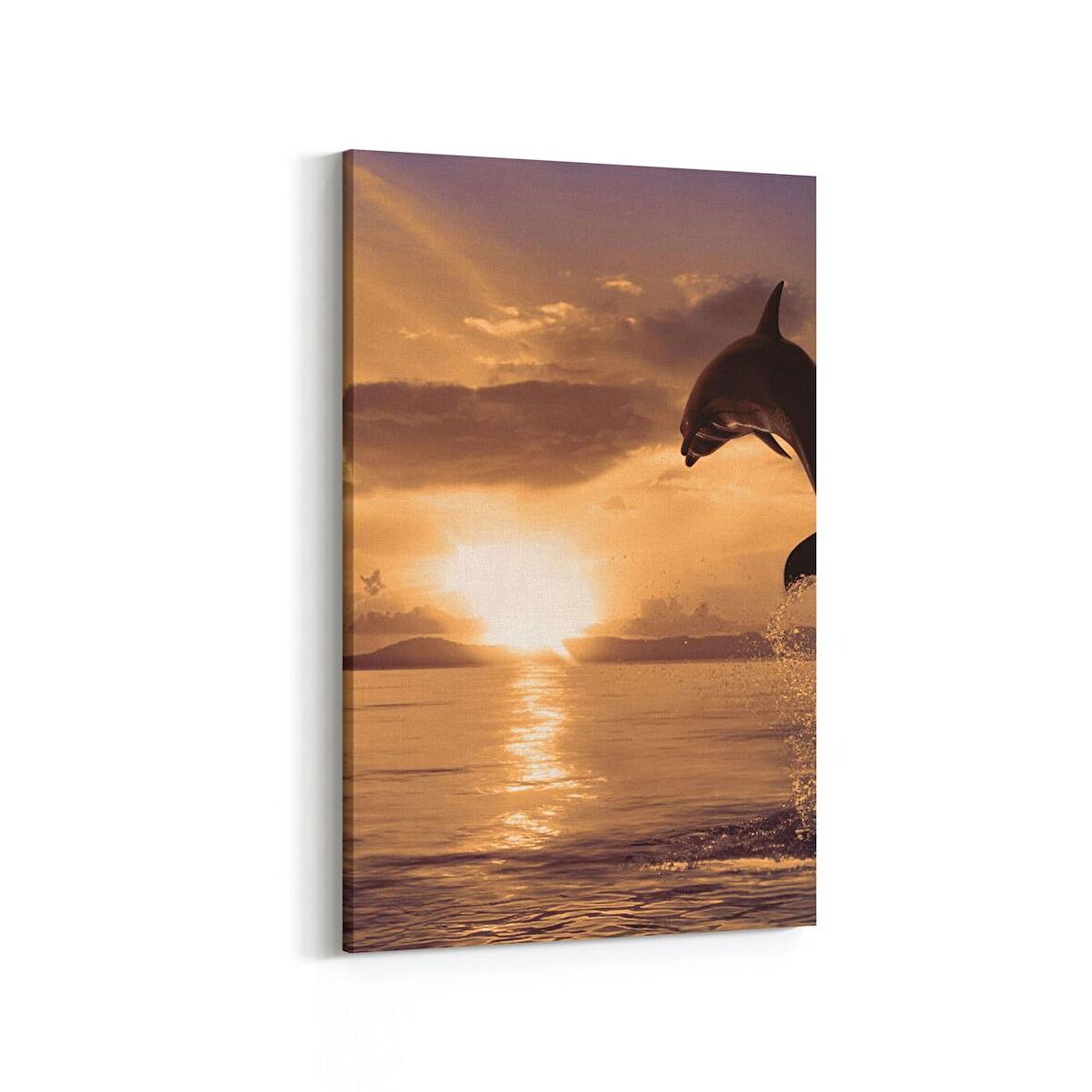 Olla 16066D Günbatımı Görseli Dikey Kanvas Tablo (Ölçü: 60X90)