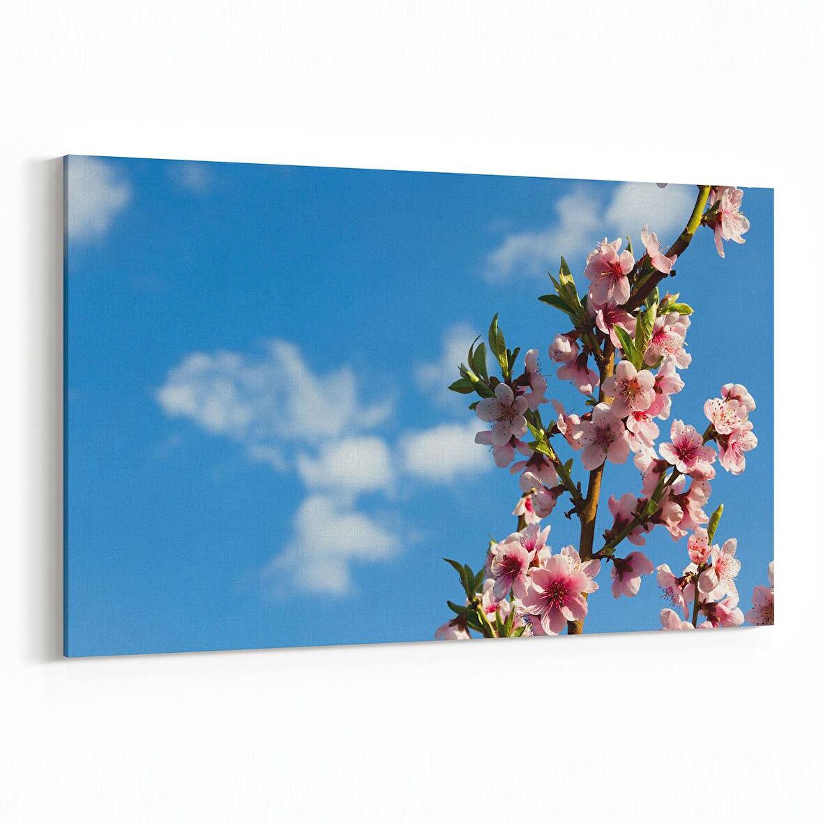 Olla 10964Y Ağaç Görseli Yatay Kanvas Tablo (Ölçü: 45X30)