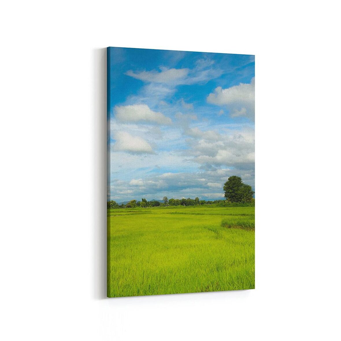 Olla 13529D Doğa / Manzara Görseli Dikey Kanvas Tablo (Ölçü: 70X105)