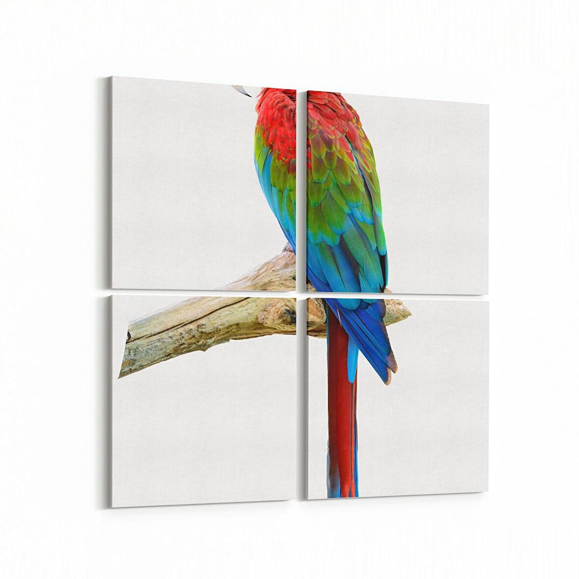 Olla 12674K4 Hayvanlar Alemi Görseli Kare 4'lü Kanvas Tablo (Ölçü: 145X145)