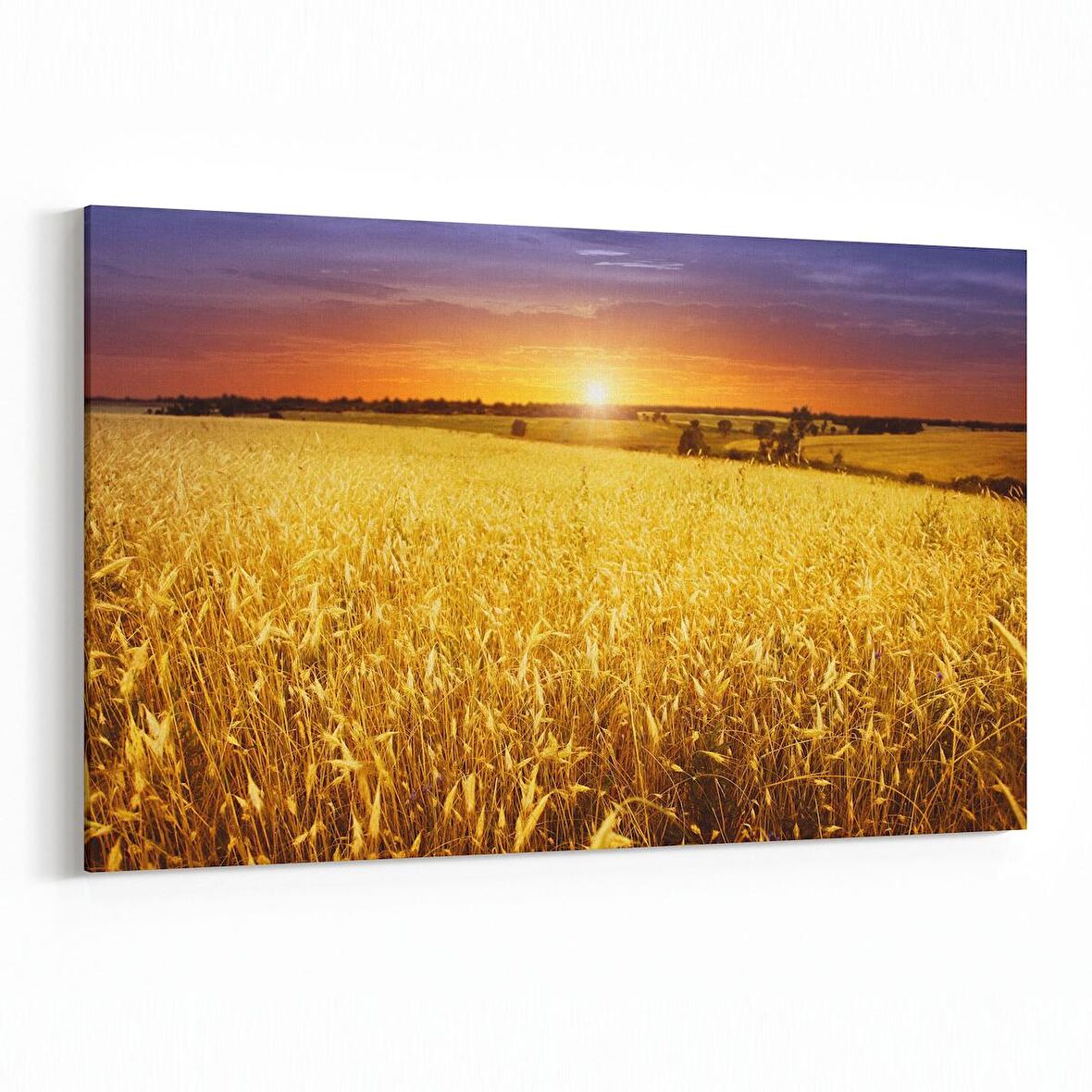 Olla 16076Y Günbatımı Görseli Yatay Kanvas Tablo (Ölçü: 70X50)