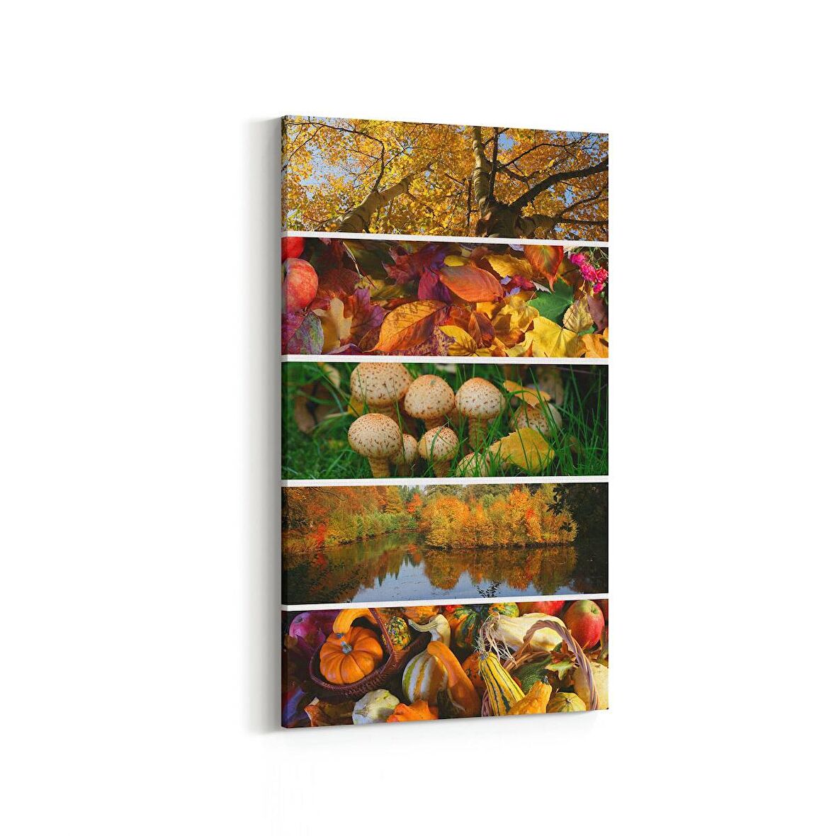 Olla 15105DD Gıda Görseli Dikey Dar Kanvas Tablo (Ölçü: 40X80)