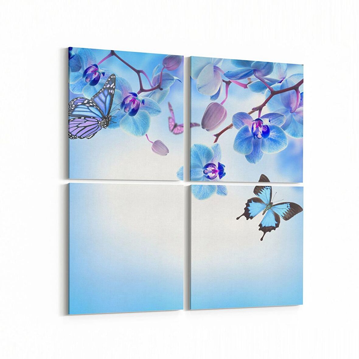 Olla 11700K4 Orkide Çiçek Görseli Kare 4'lü Kanvas Tablo (Ölçü: 145X145)