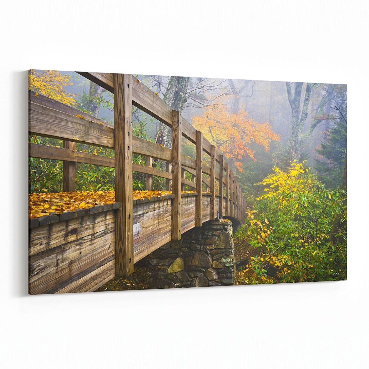 Olla 14580Y Doğa / Manzara Görseli Yatay Kanvas Tablo (Ölçü: 90X60)