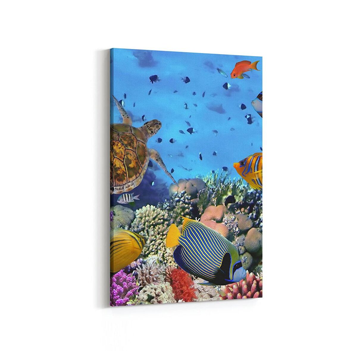 Olla 12141D Akvaryum / Balık Görseli Dikey Kanvas Tablo (Ölçü: 70X105)