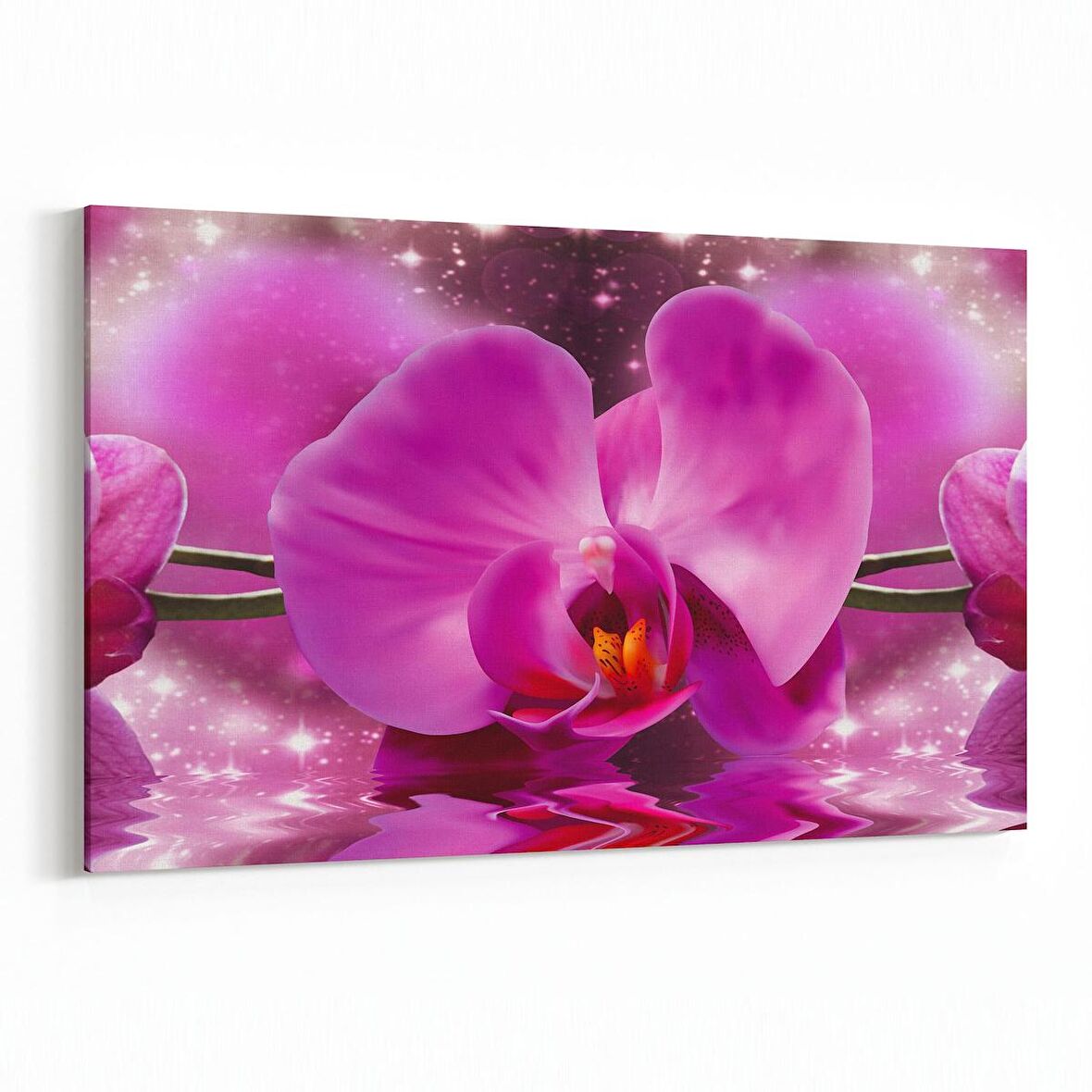Olla 11731Y Orkide Çiçek Görseli Yatay Kanvas Tablo (Ölçü: 120X80)