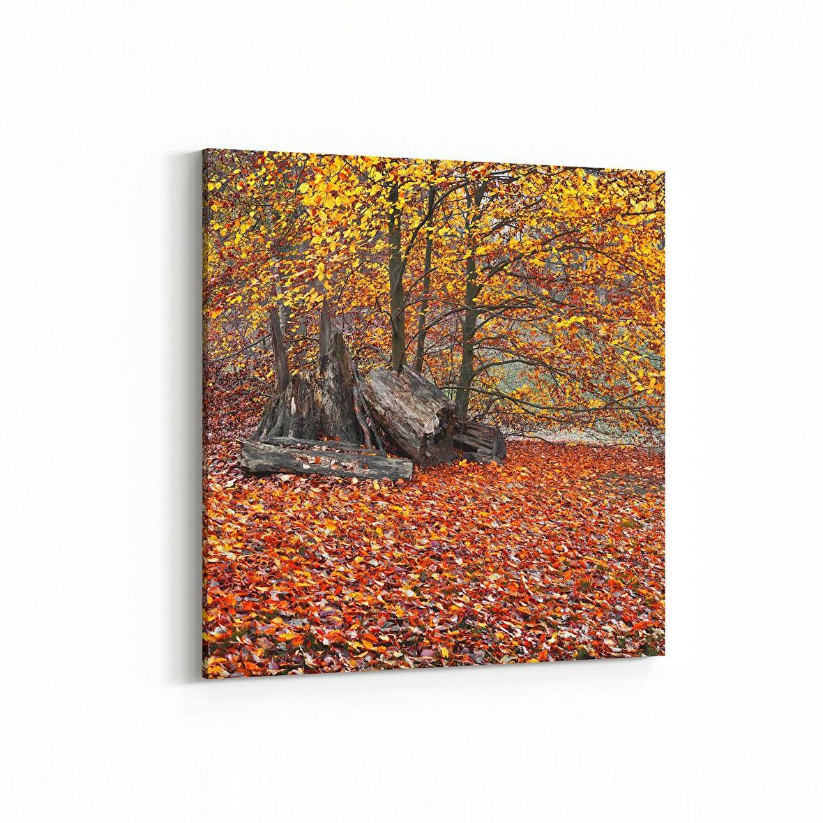 Olla 13279K Doğa / Manzara Görseli Kare Kanvas Tablo (Ölçü: 25X25)