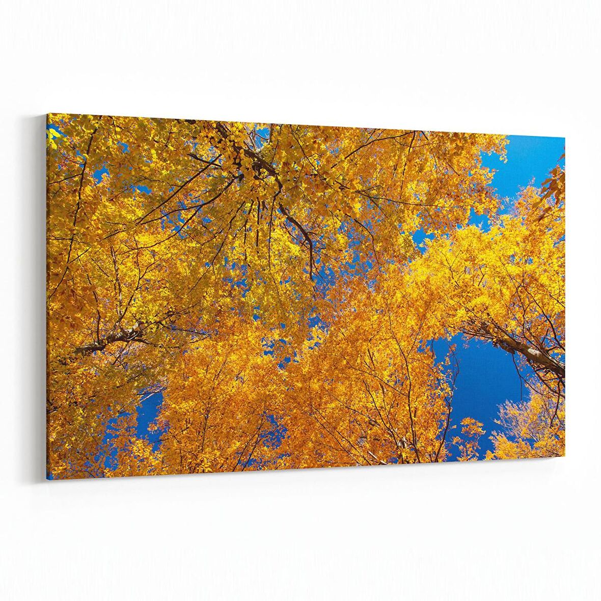 Olla 10566Y Ağaç Görseli Yatay Kanvas Tablo (Ölçü: 30X20)