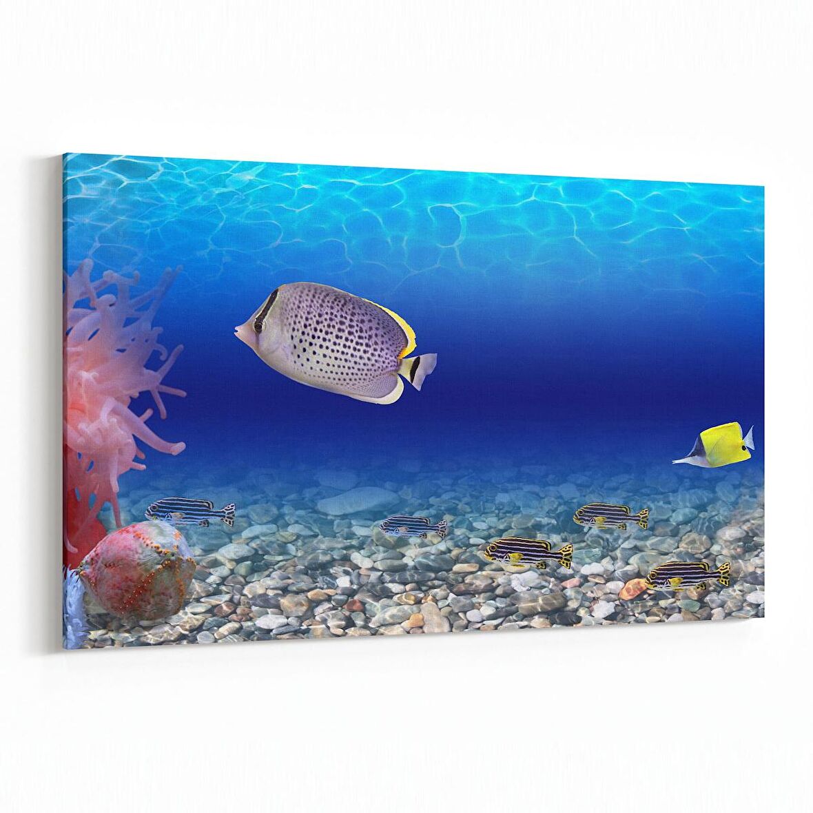 Olla 12106Y Akvaryum / Balık Görseli Yatay Kanvas Tablo (Ölçü: 150X100)