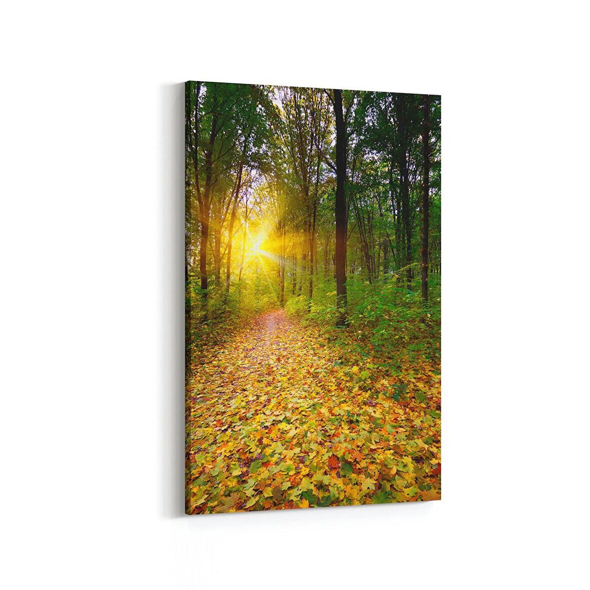 Olla 14325D Doğa / Manzara Görseli Dikey Kanvas Tablo (Ölçü: 80X120)