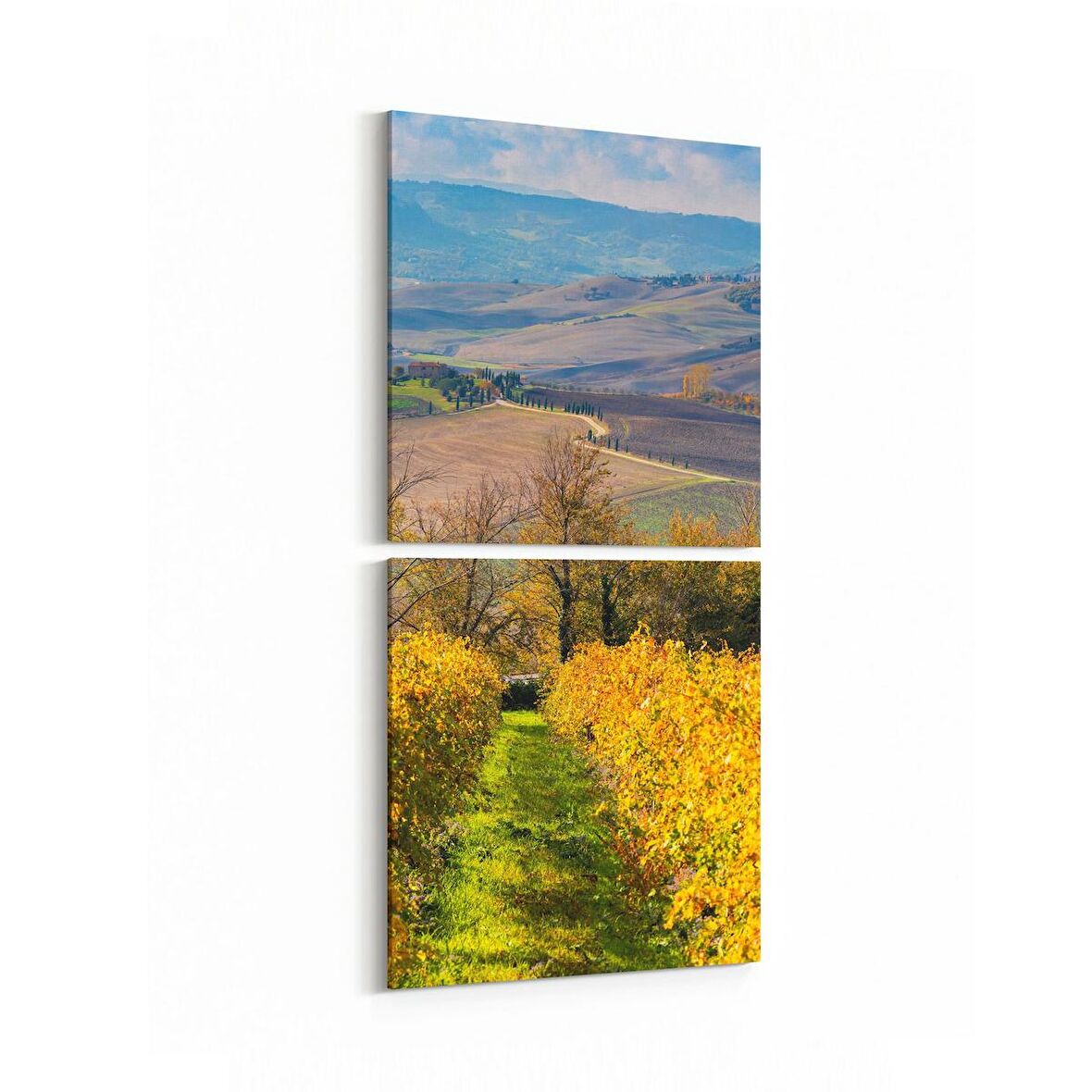Olla 14170K2D Doğa / Manzara Görseli Kare 2'li Dikey Kanvas Tablo (Ölçü: 30X65)