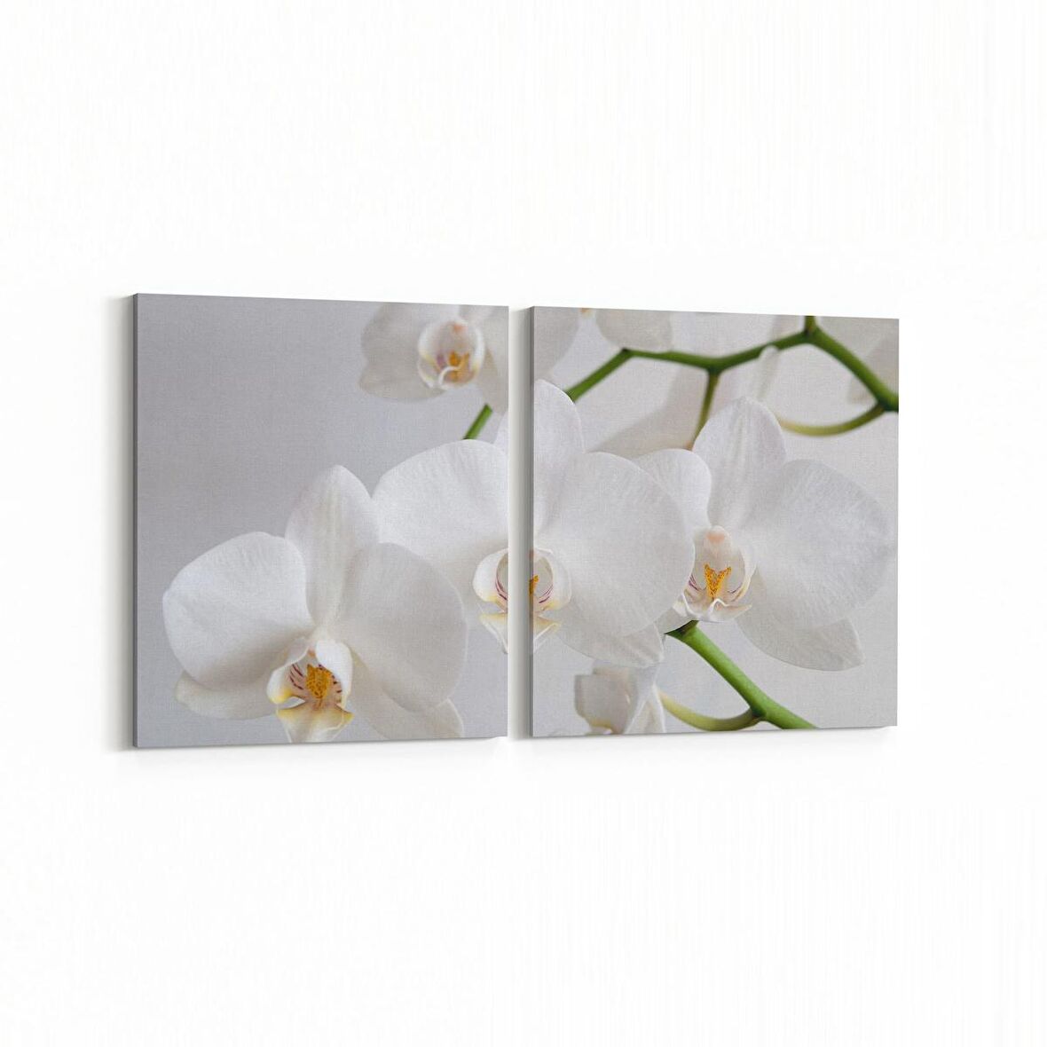 Olla 11723K2Y Orkide Çiçek Görseli 2'li Yatay Kanvas Tablo (Ölçü: 145X70)