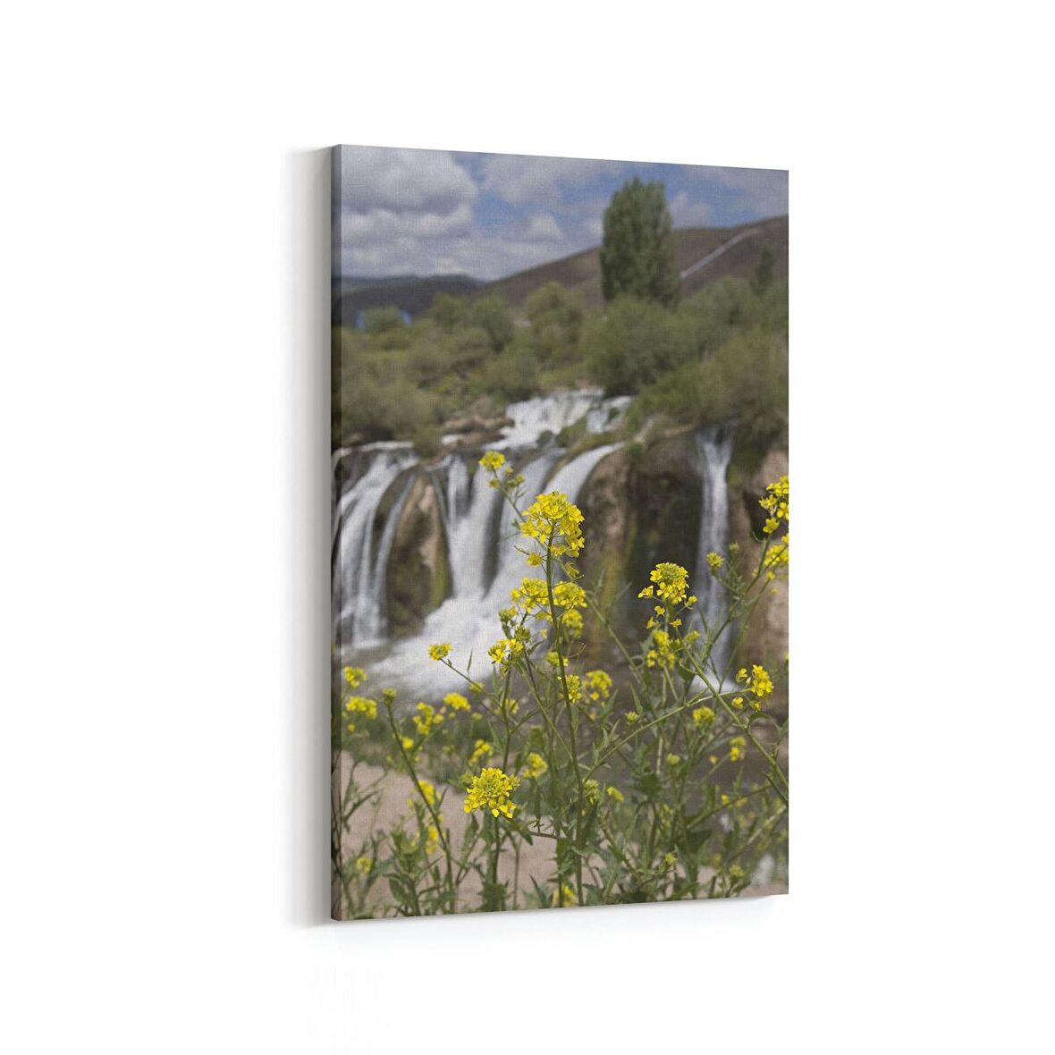 Olla 14365D Doğa / Manzara Görseli Dikey Kanvas Tablo (Ölçü: 100X150)