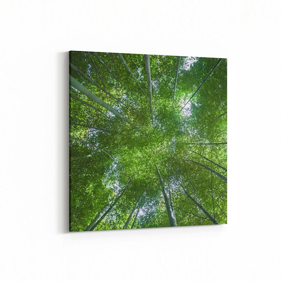 Olla 10518K Ağaç Görseli Kare Kanvas Tablo (Ölçü: 25X25)