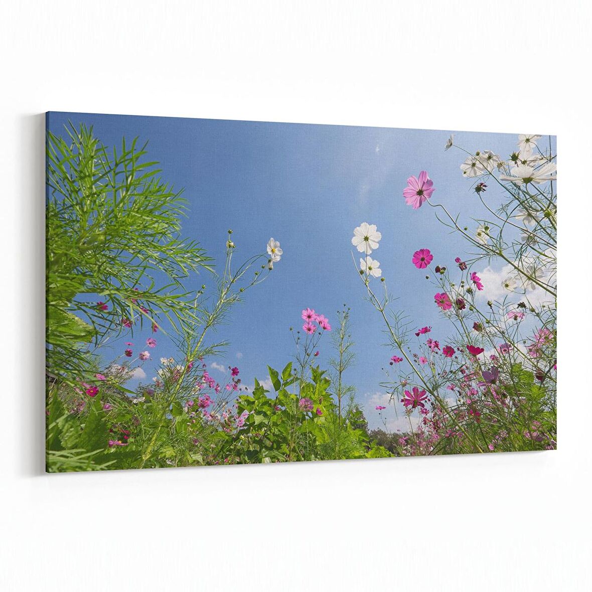 Olla 10729Y Ağaç Görseli Yatay Kanvas Tablo (Ölçü: 30X20)