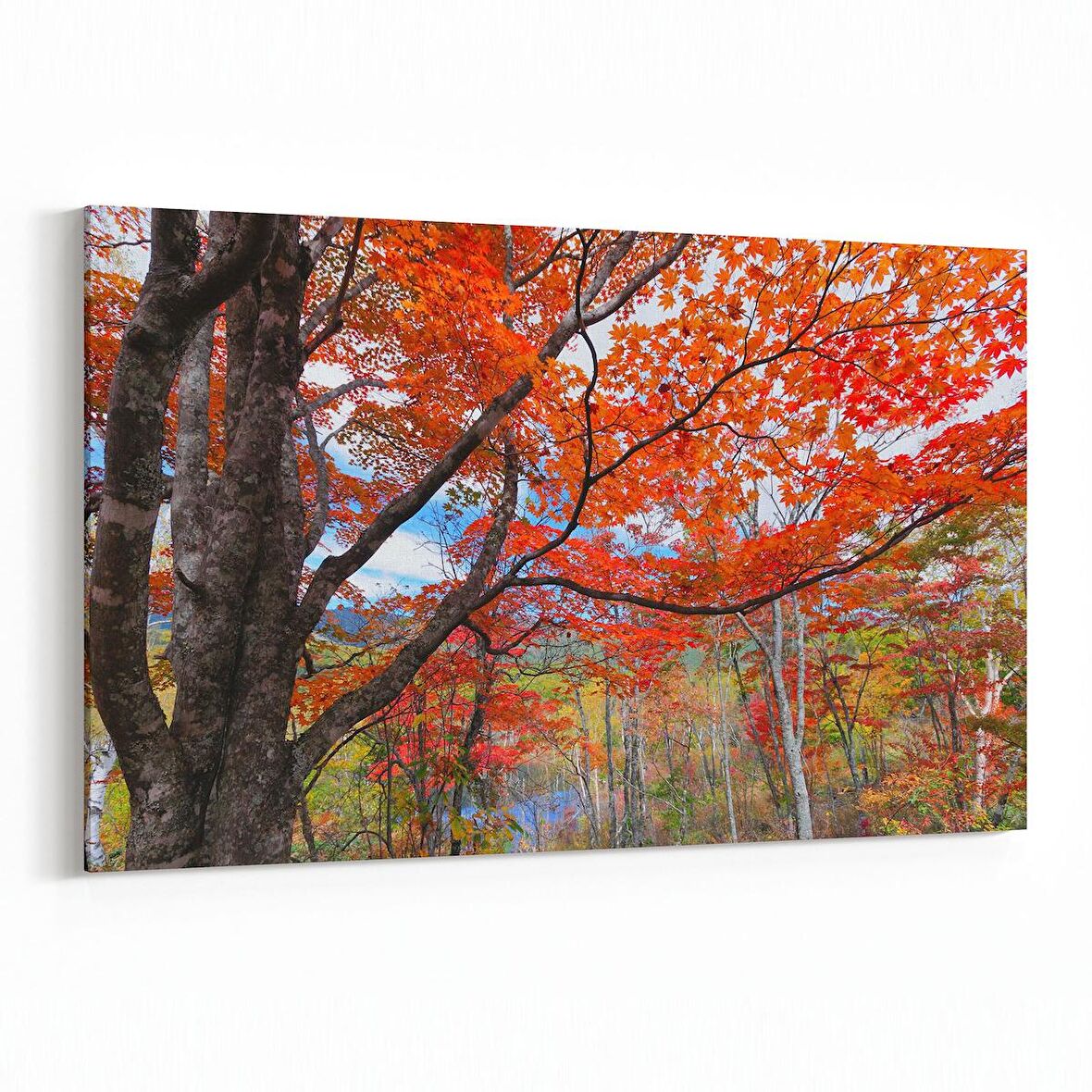 Olla 13256Y Doğa / Manzara Görseli Yatay Kanvas Tablo (Ölçü: 150X100)