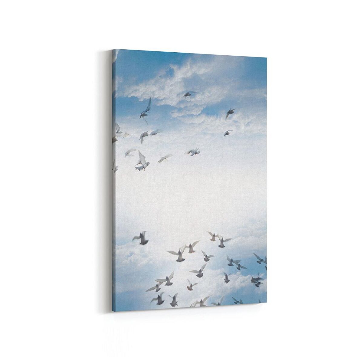 Olla 15840D Gökyüzü Kuşlar Görseli Dikey Kanvas Tablo (Ölçü: 100X150)