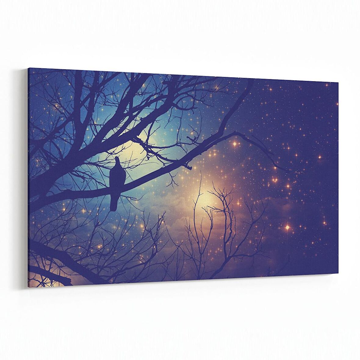 Olla 14738Y Gece Gökyüzü Görseli Yatay Kanvas Tablo (Ölçü: 150X100)