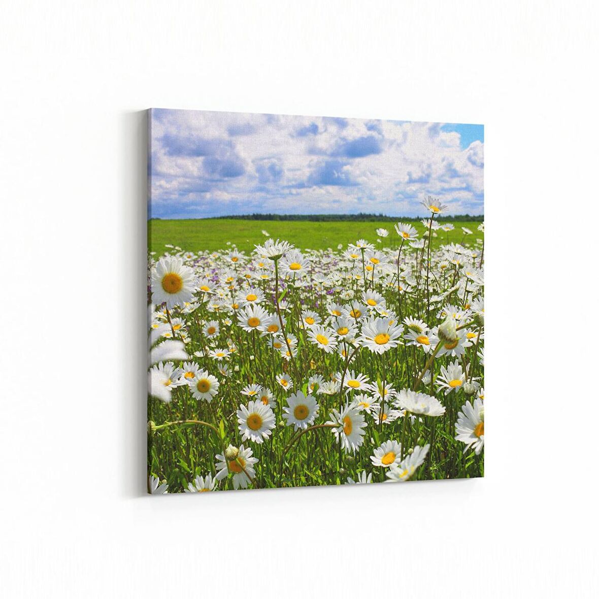 Olla 13792K Doğa / Manzara Görseli Kare Kanvas Tablo (Ölçü: 25X25)