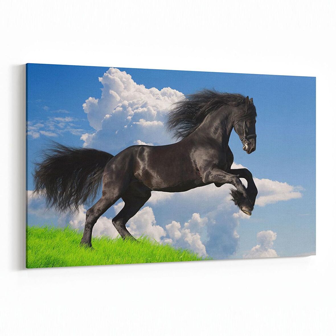 Olla 12568Y Hayvanlar Alemi Görseli Yatay Kanvas Tablo (Ölçü: 150X100)