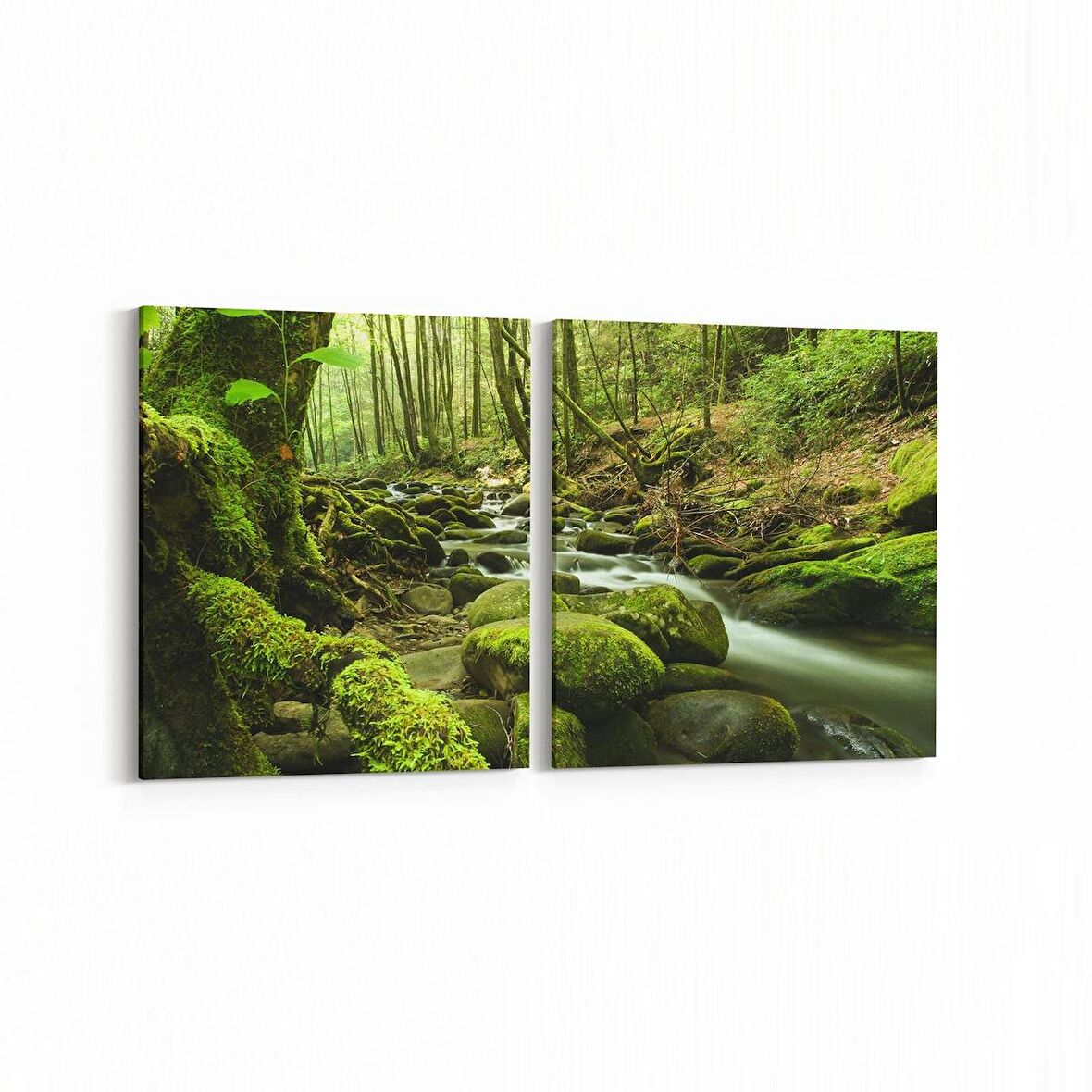 Olla 13638K2Y Doğa / Manzara Görseli Kare 2'li Yatay Kanvas Tablo (Ölçü: 125X60)