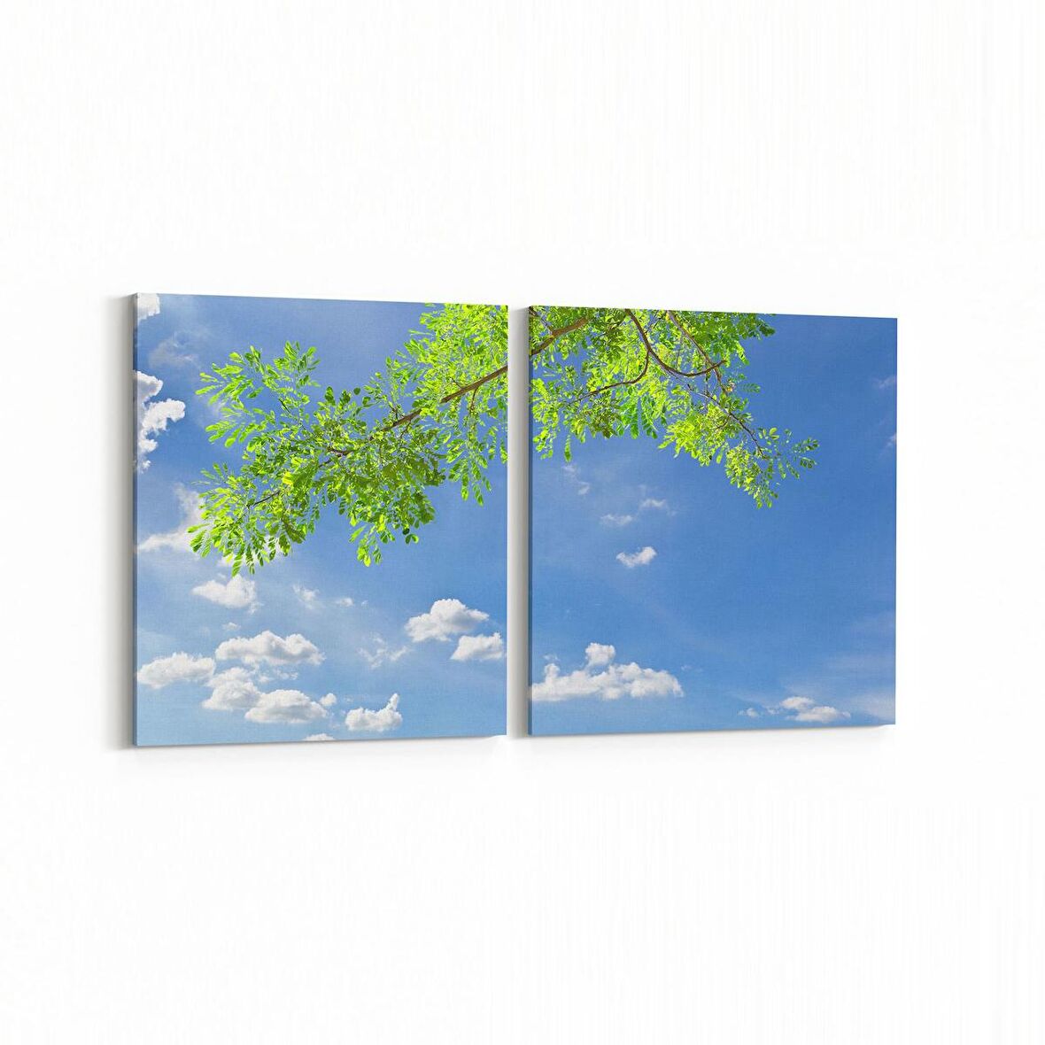 Olla 11004K2Y Ağaç Görseli Kare 2'li Yatay Kanvas Tablo (Ölçü: 125X60)