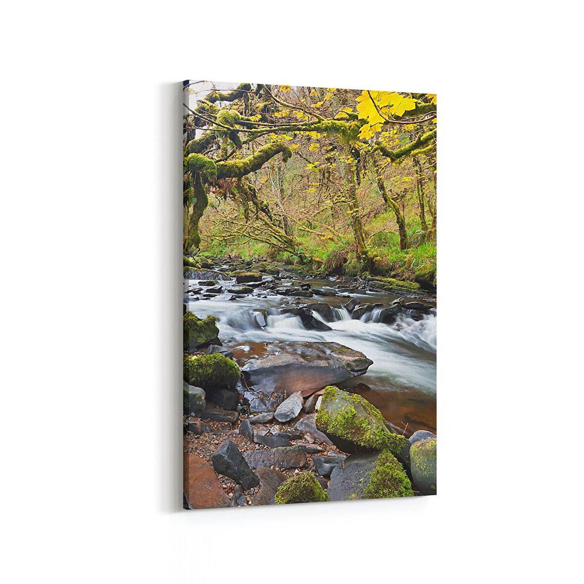 Olla 13170D Doğa / Manzara Görseli Dikey Kanvas Tablo (Ölçü: 60X90)